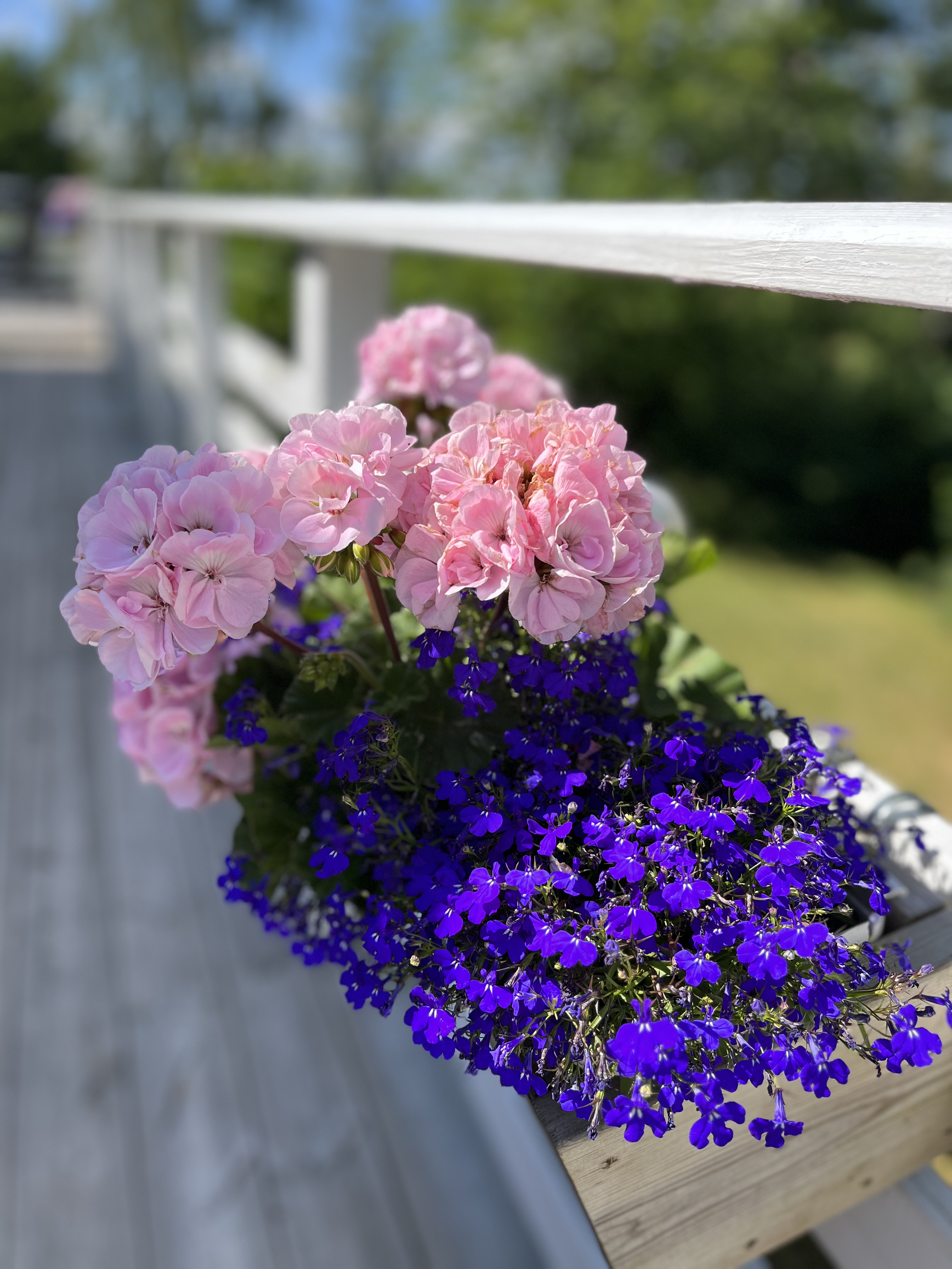 Den blomstertid nu kommer